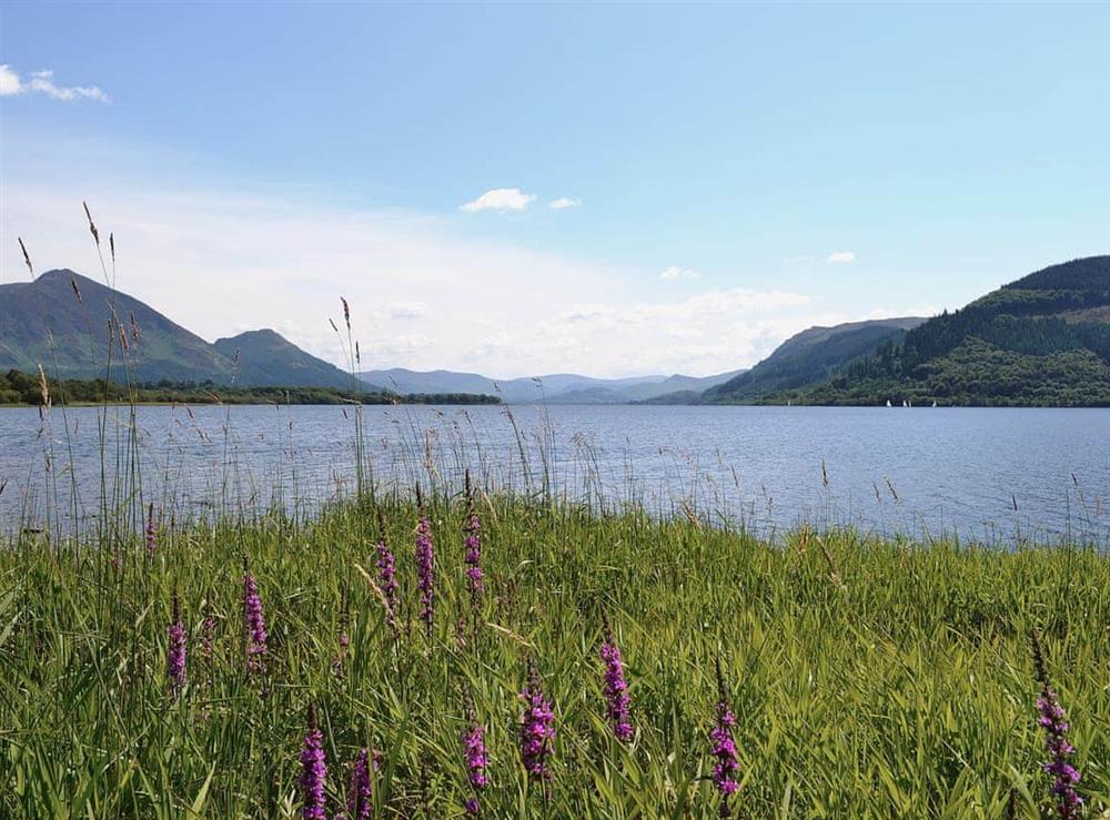 Bassenthwaite