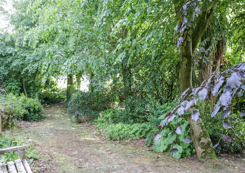 The garden at The Haw Country Home, Bushmills