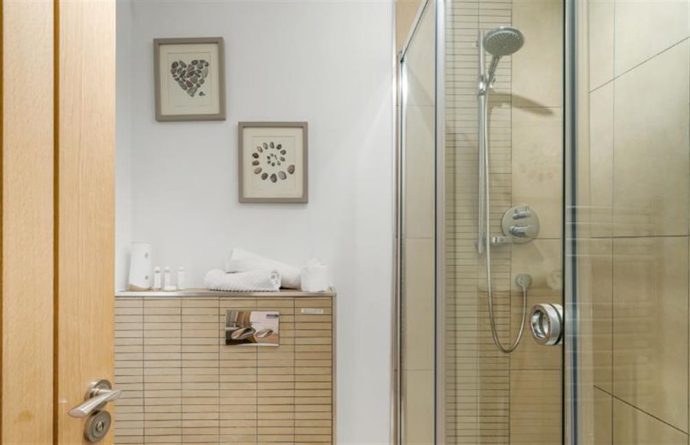 Family shower room with a large shower cubicle, heated towel rail. wash basin and WC. at The Hawthorns, St Minver