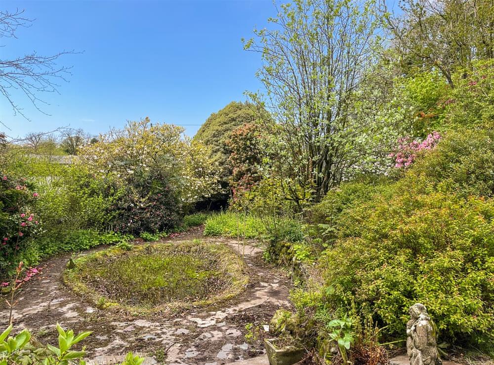 Garden at The Hawthorns in Stranraer, Wigtownshire