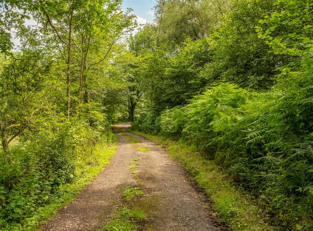 Garden and grounds at The Haybarn in Ewhurst, Surrey