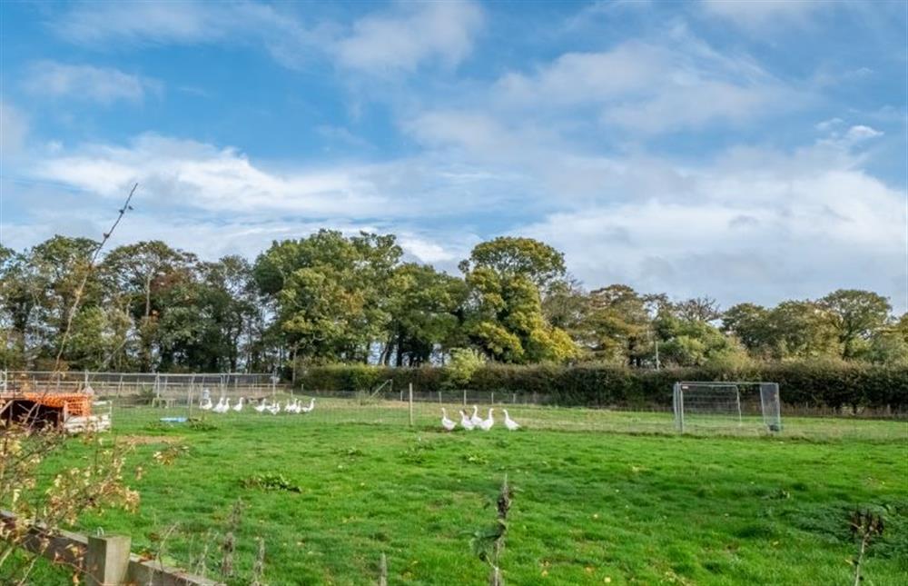 Neighbouring fields at The Hayloft, Felbrigg near Norwich