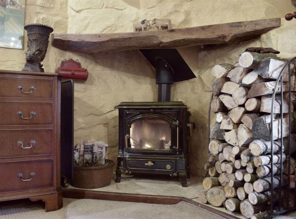 Traditional wood burning stove at The Hayloft in Glaisdale, Nr Whitby, North Yorkshire., Great Britain