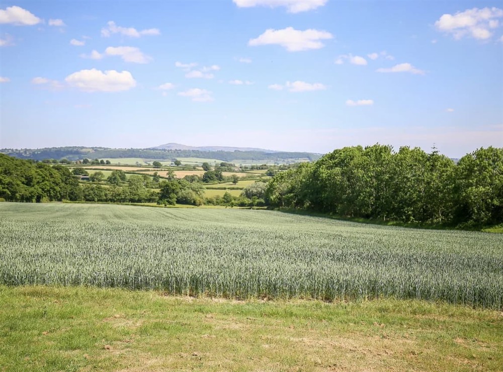 View at The Hayloft House in Onibury, Shropshire