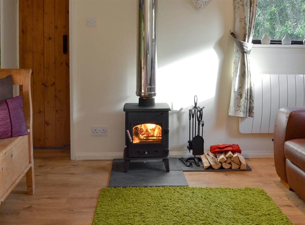 Cosy wood burner in living room at The Hayloft in Northiam, near Rye, East Sussex