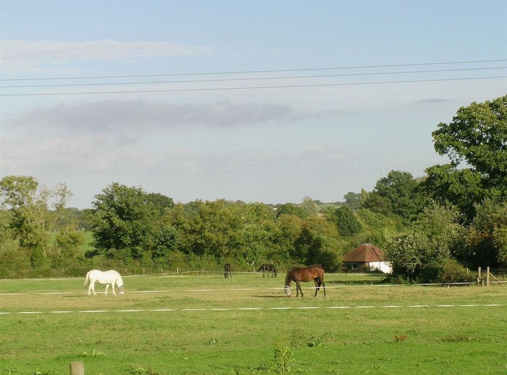 Surrounding area at The Hayloft in Northiam, near Rye, East Sussex
