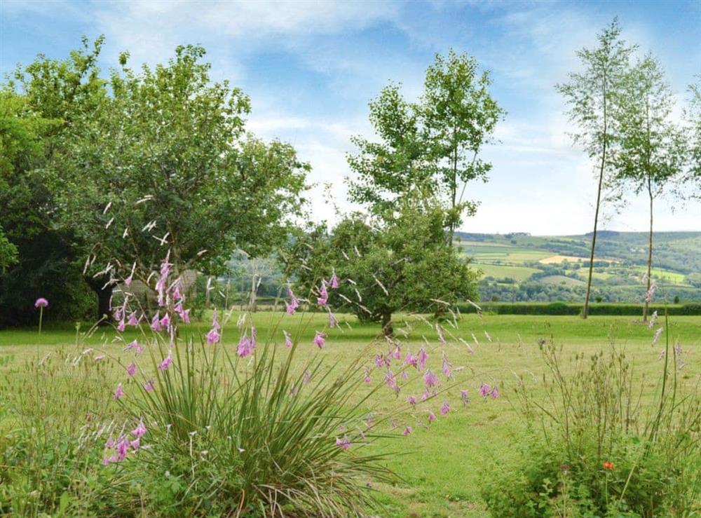 Large garden and grounds at The Headmasters Cottage in South Hill, near Callington, Cornwall