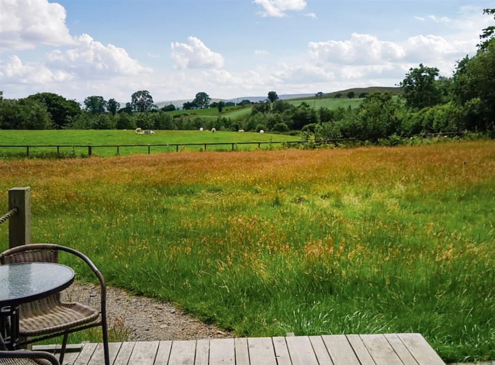 Outdoor at The Hedgehog Pod in Welshpool, Powys