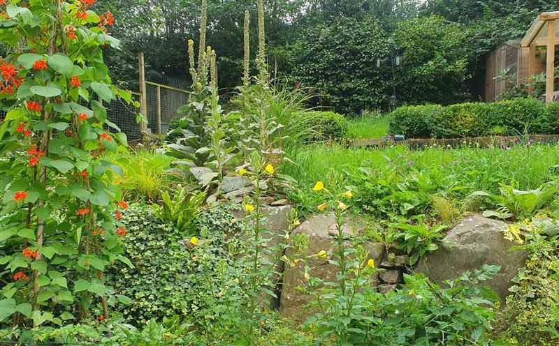 The garden at The Hen Holiday Home, Bideford