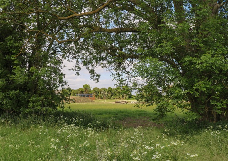 The setting around The Heron