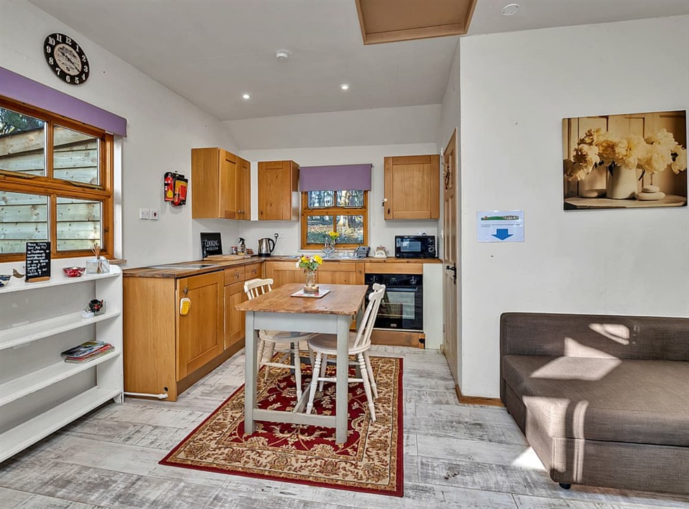 Open plan living space at The Hideaway in Bury St Edmunds, Suffolk