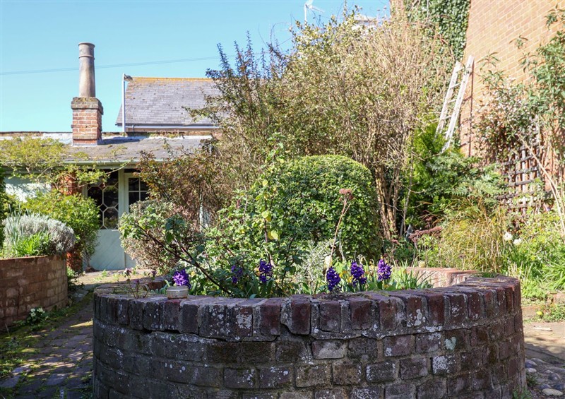 The garden in The Hideaway at The Hideaway, Saxmundham