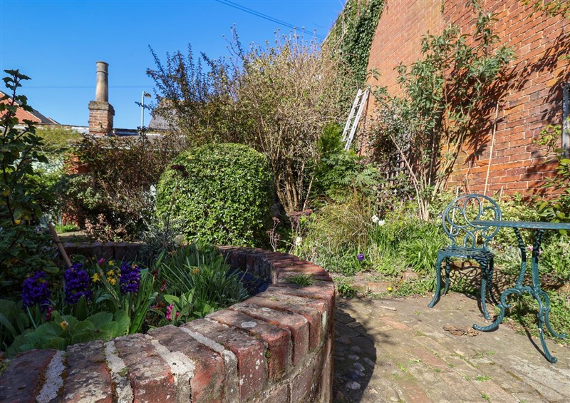 This is the garden at The Hideaway, Saxmundham