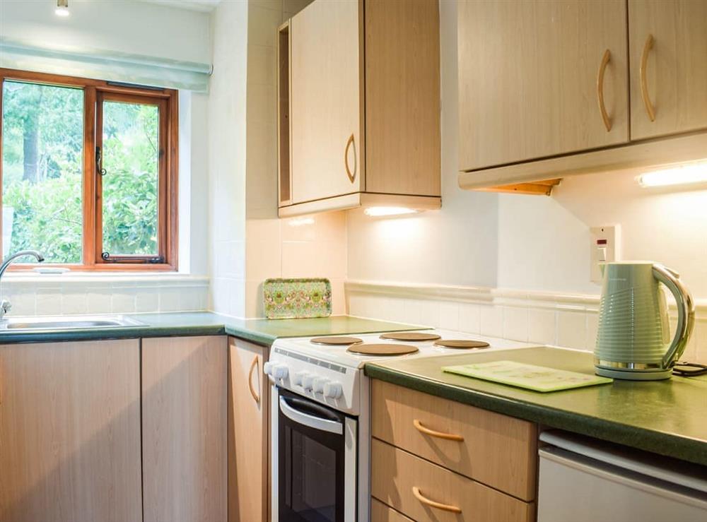 Kitchen at The Hill Cottage Apartment in Crew Green, near Welshpool, Powys