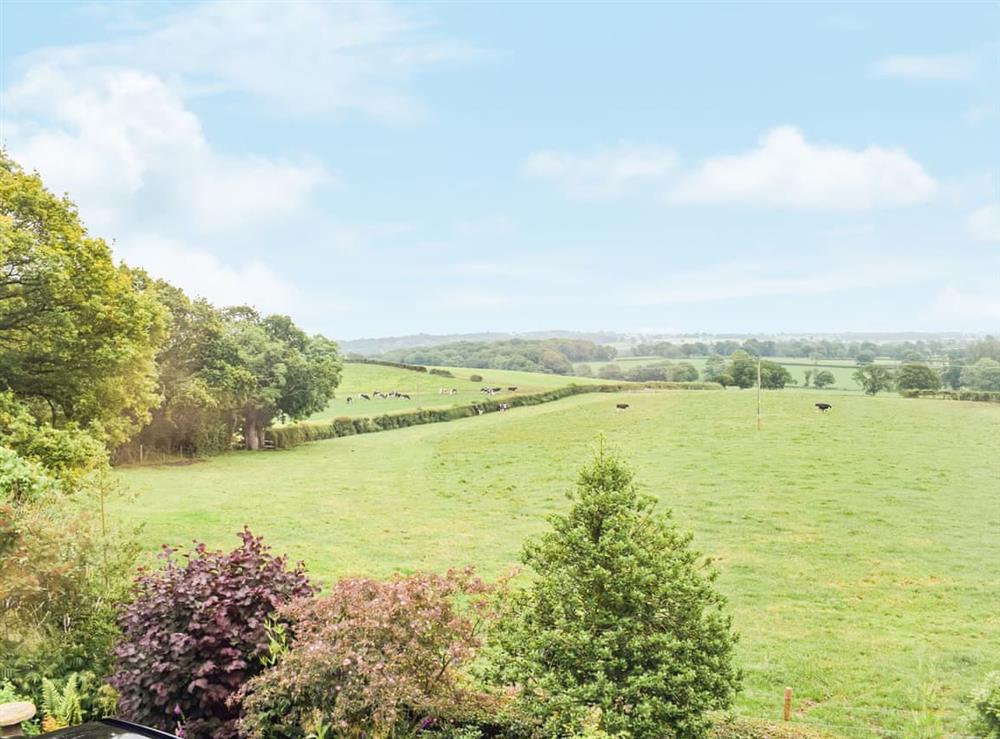 View at The Hill Cottage Apartment in Crew Green, near Welshpool, Powys