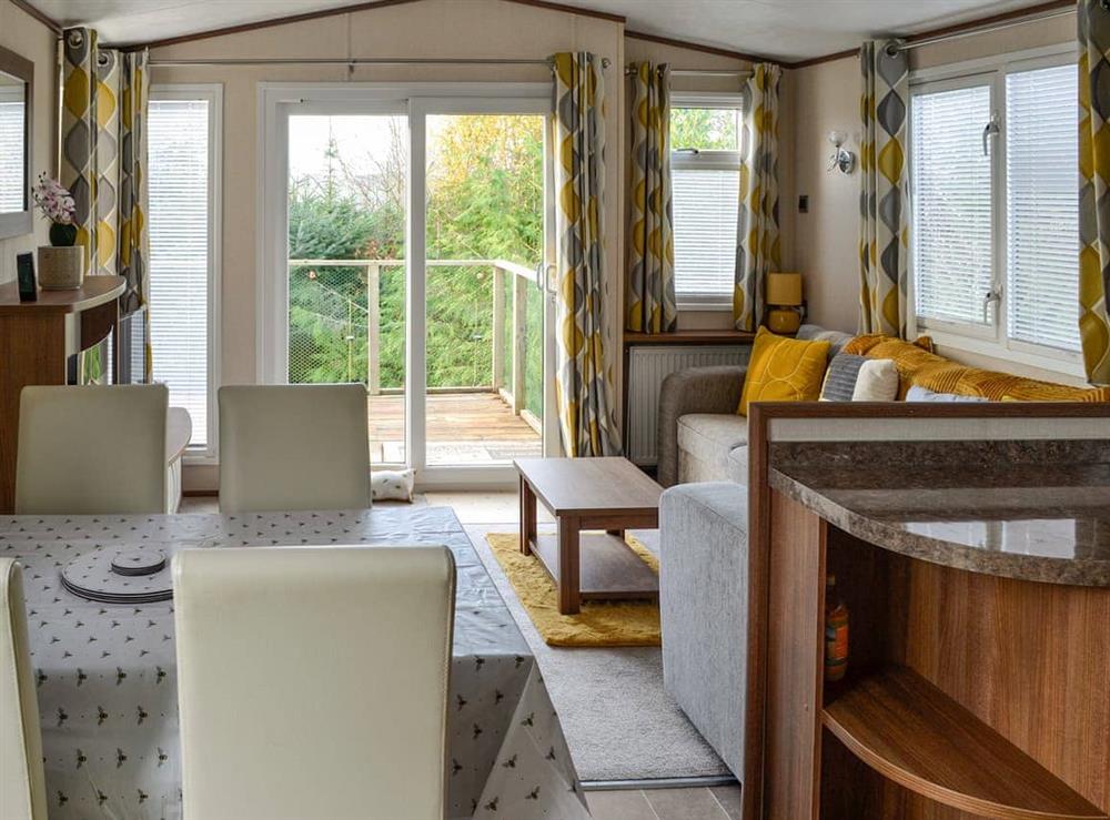 Open plan living space at The Honey Pot in Dalbeattie, Kirkcudbrightshire