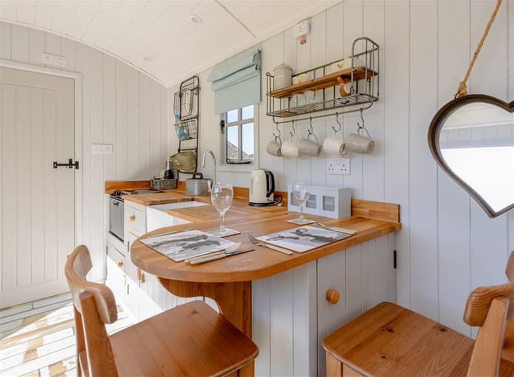 Fully appointed kitchen at The Hut at Hole Farm in Alderbury,  Salisbury, England