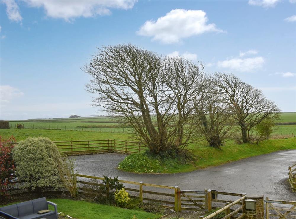 View at The Imaginary Barn in Hartland, Devon