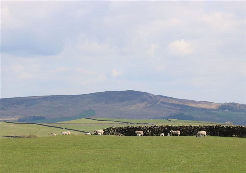 This is the garden at The Ives, Skipton