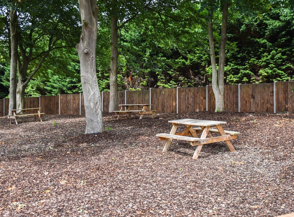 Outdoor (photo 6) at The Ivy Bungalow in Little Dunham, near Kings Lynn, Norfolk