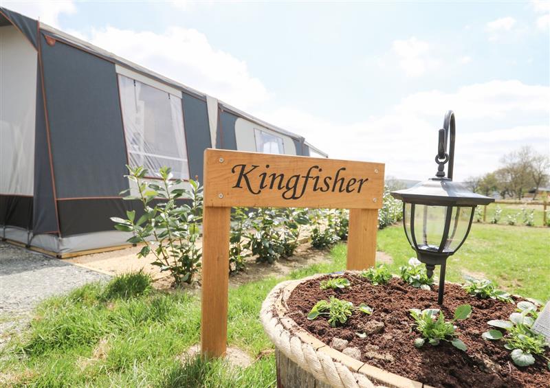 The garden in The Kingfisher at The Kingfisher, Nantmel near Rhayader