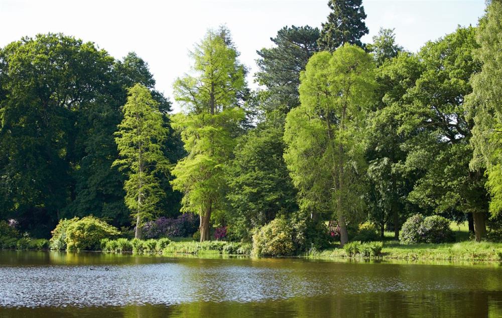 Temple Pool, a haven for wildlife and an ideal area for picnics at The Knoll Tower, Weston-under-Lizard Shifnal