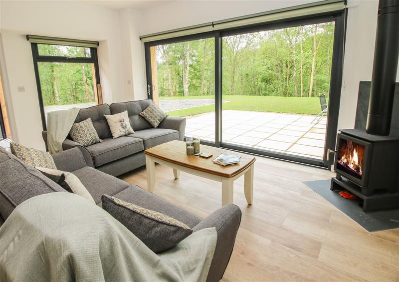 Enjoy the living room at The Larches, Bryn near Clun