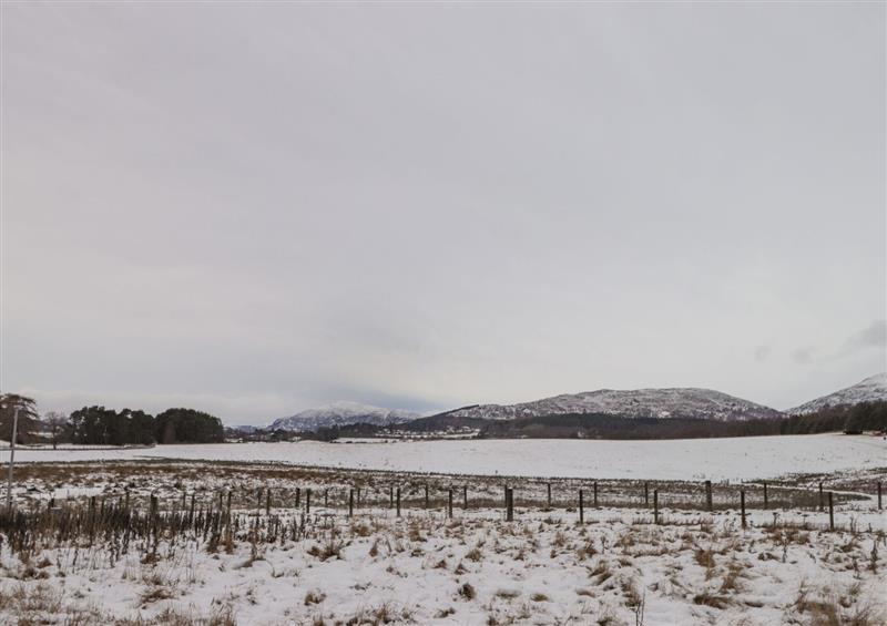 The area around The Larches at The Larches, Lynchat near Kingussie
