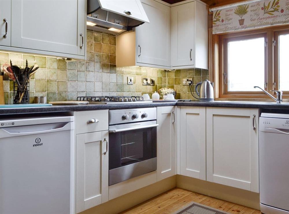 Fully appointed kitchen at The Larches in Montgomery, Powys