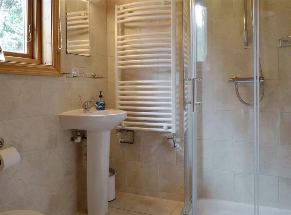Shower room at The Larches in Montgomery, Powys