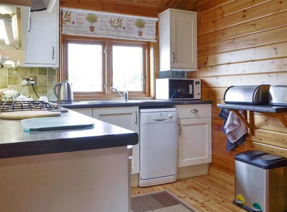 Well-equipped kitchen at The Larches in Montgomery, Powys