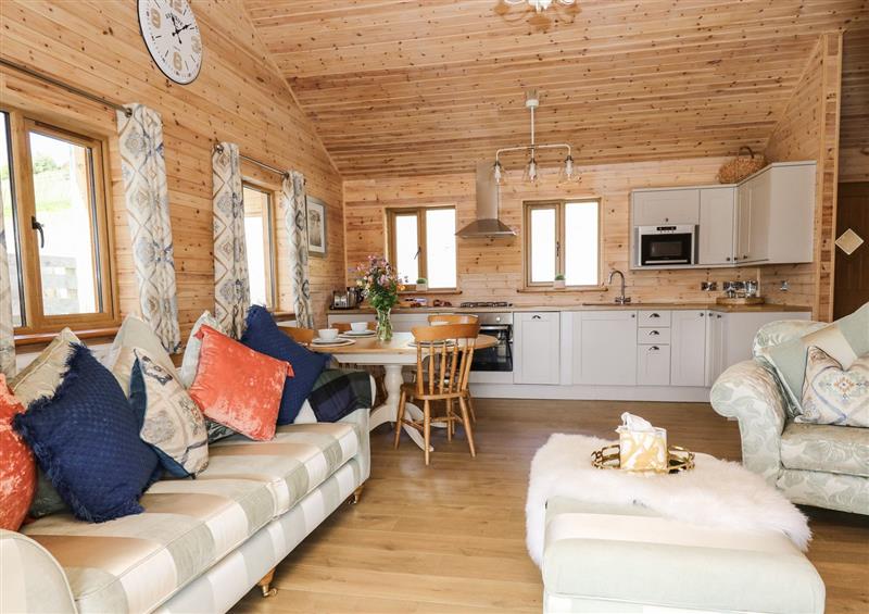 Relax in the living area at The Larches, Van near Llanidloes