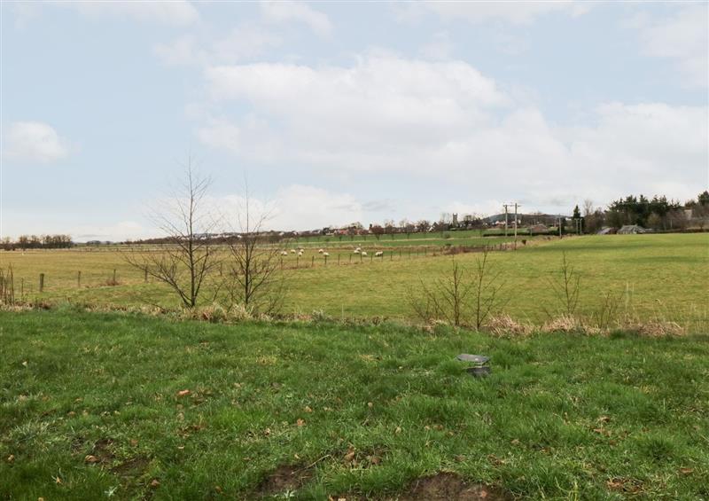 Rural landscape at The Lawns, Errol