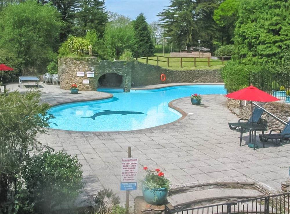 Swimming pool at The Lawns in Modbury, Devon