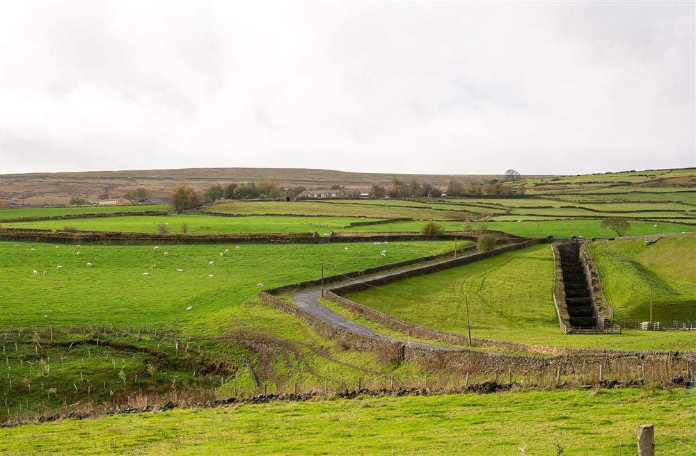 The countryside view