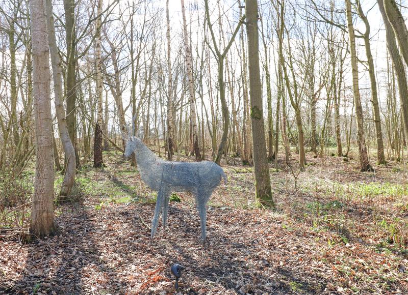 The area around The Leveret