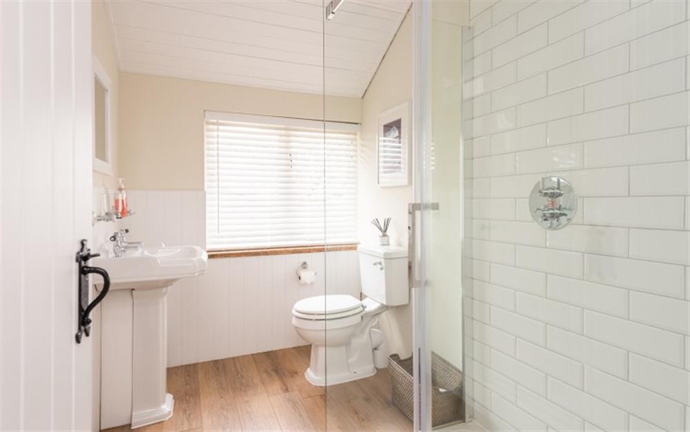 Contemporary shower room with large walk-in shower. at The Linhay, Chipton Barton in Dittisham