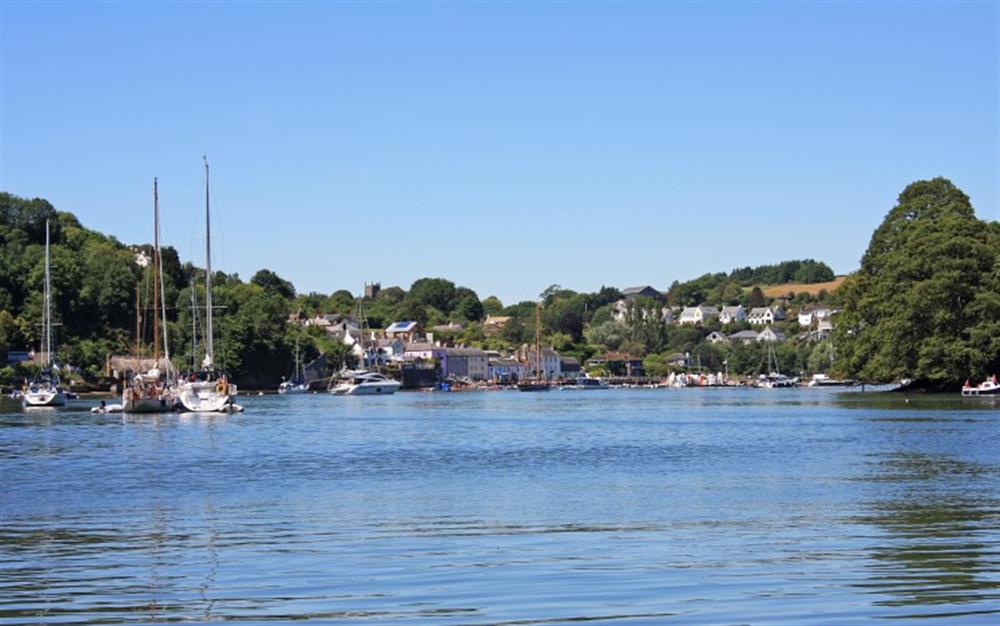View towards Dittisham from the river. at The Linhay, Chipton Barton in Dittisham