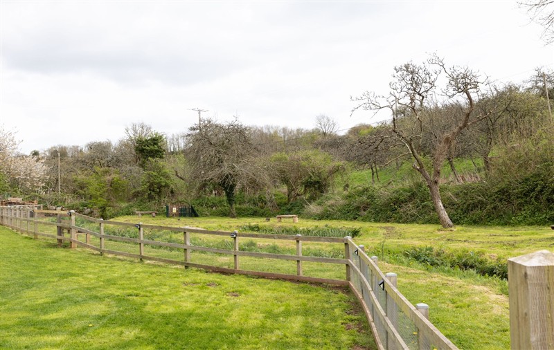 The garden in