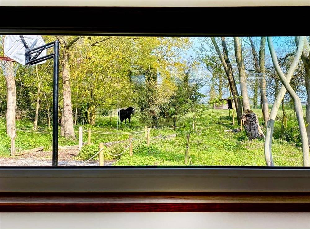 View at The Little Barn in Hoxne, near Eye, Suffolk