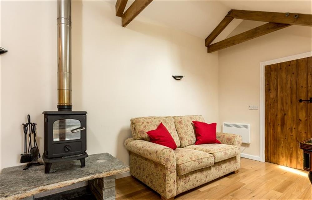 The Wood burning stove in the lounge at The Little Barn, Tintagel