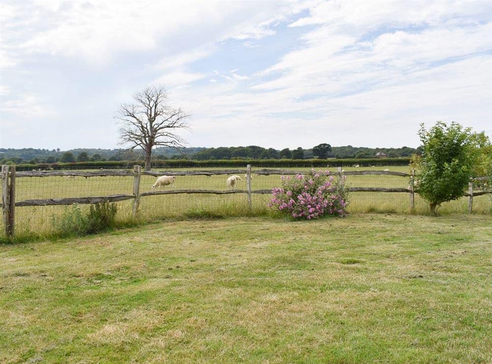 Lawned garden area at The Little Barn in Woodchurch, near Ashford, Kent