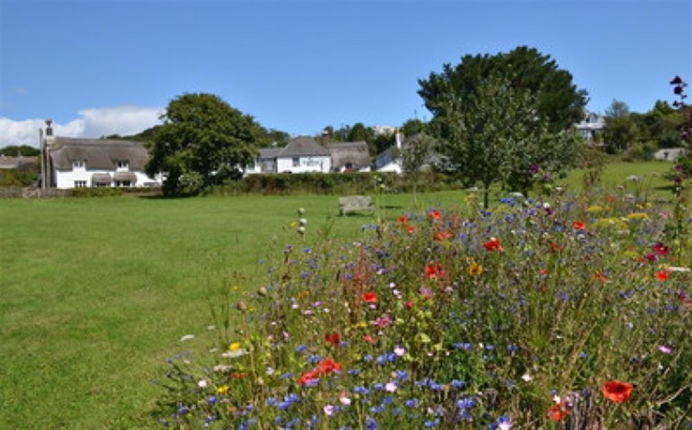 The pretty village green with play park at The Little House in Stokenham