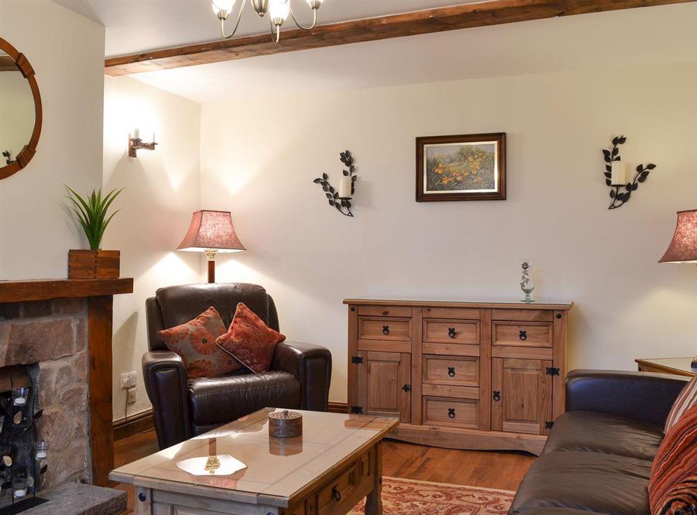 Living room with open fire & Freeview TV at The Little Laines in Mitcheldean, near Gloucester, Gloucestershire
