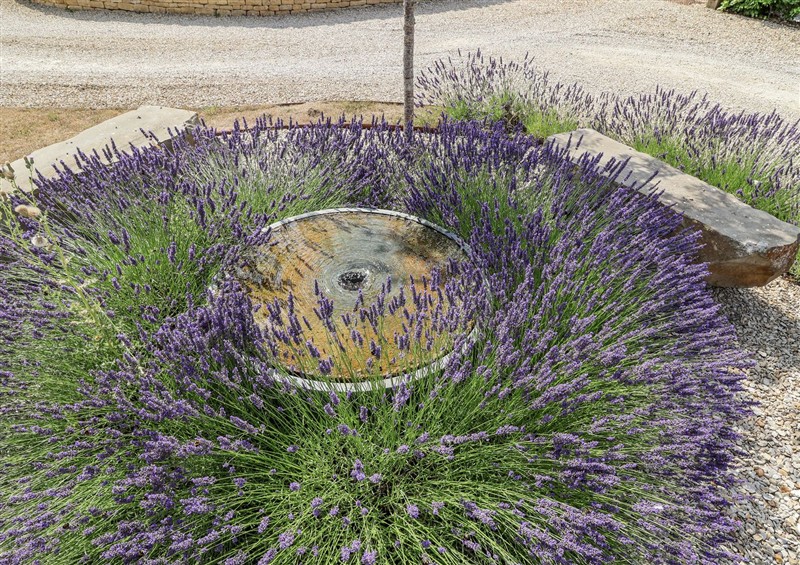 The garden at The Little Loft, Burford