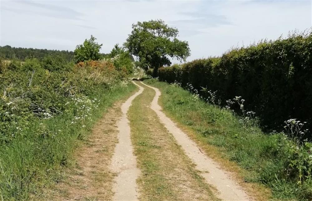 Peddars Way path near The Fring Estate
