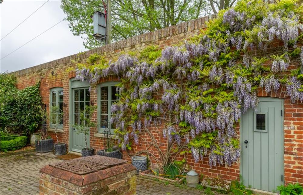 The Little Potting Shed: Gorgeous in late spring with wisteria at The Little Potting Shed, Fring near Kings Lynn