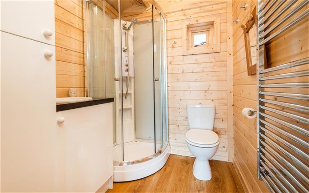 Shower room with shower cubicle wash basin and w.c. at The Lobster Pot in Lyme Regis