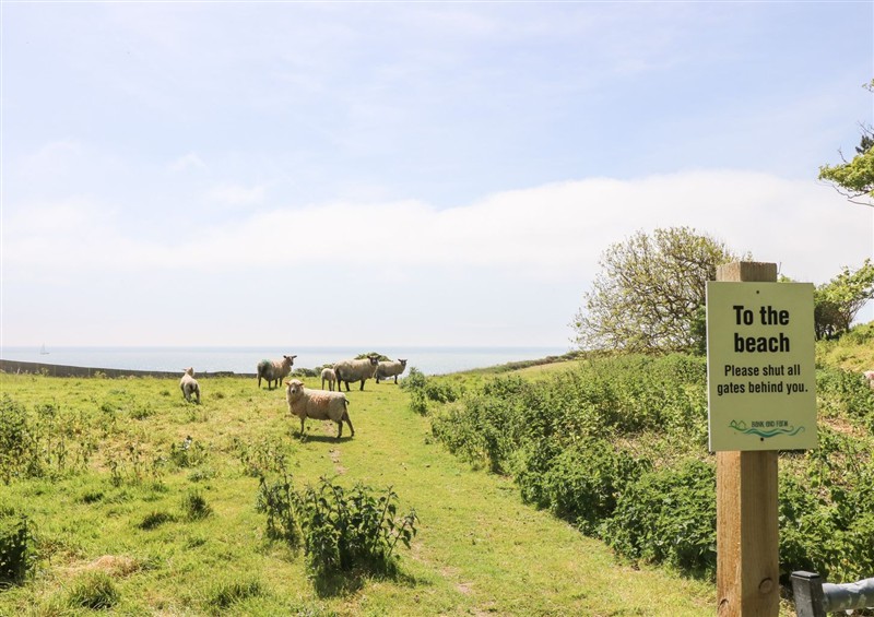 Enjoy the garden at The Lobster Pot, near Ventnor