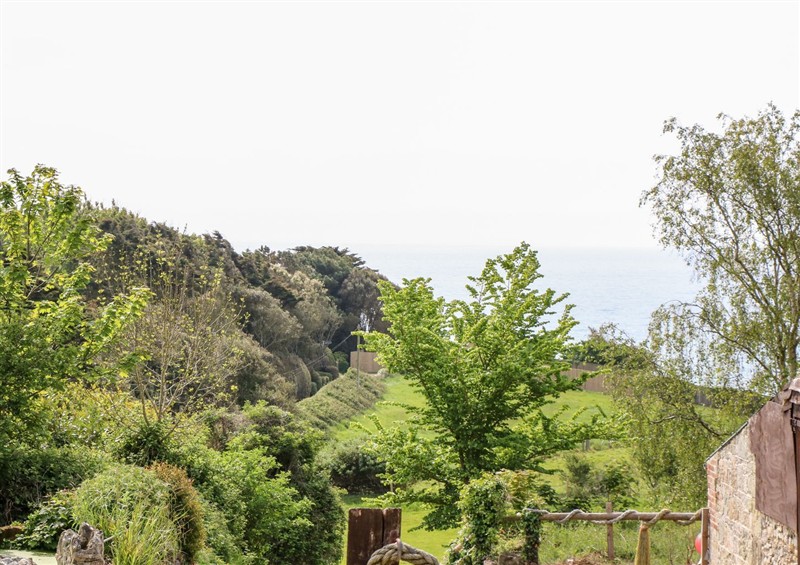 Rural landscape at The Lobster Pot, near Ventnor